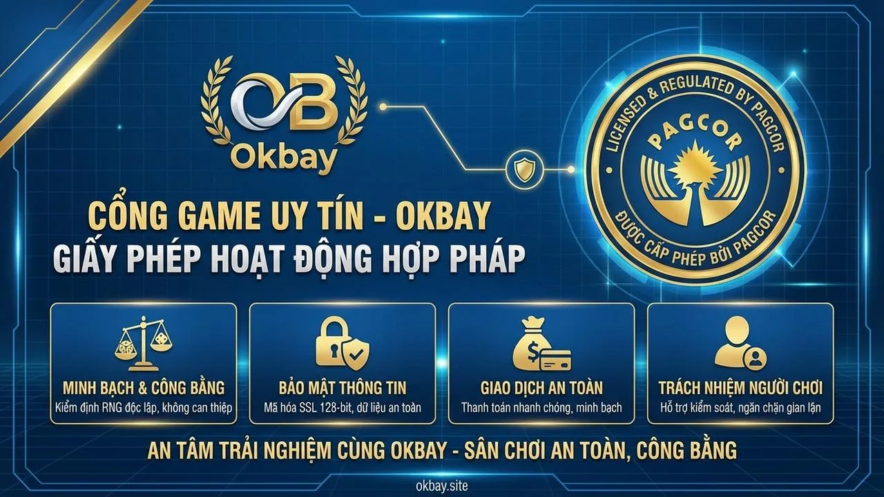 Giấy Phép Hoạt Động Okbay