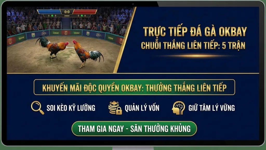 Thưởng thắng liên tiếp trong Đá Gà trực tiếp Okbay