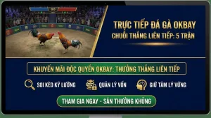 Thưởng Thắng Liên Tiếp Đá Gà Trực Tiếp Okbay: Săn Thưởng Cực Đã
